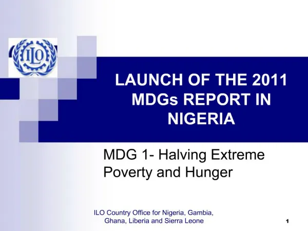 LAUNCH OF THE 2011 MDGs REPORT IN NIGERIA