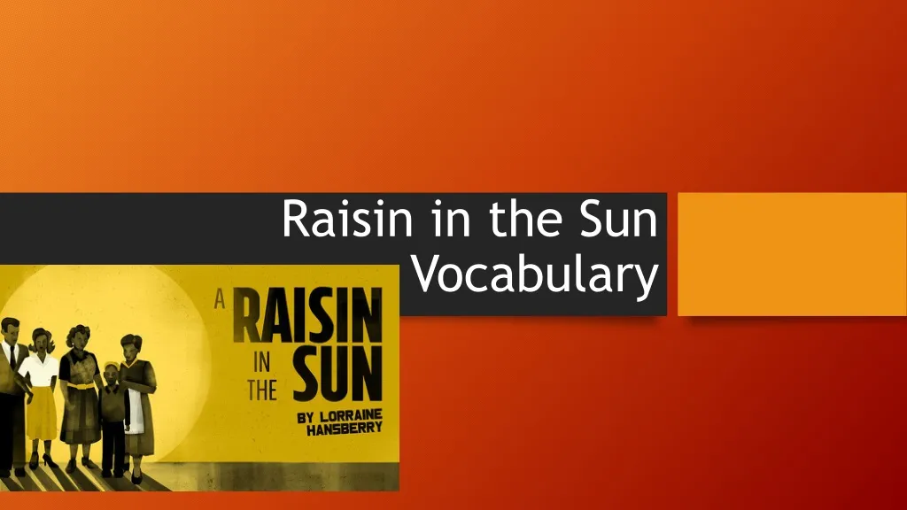 raisin in the sun vocabulary