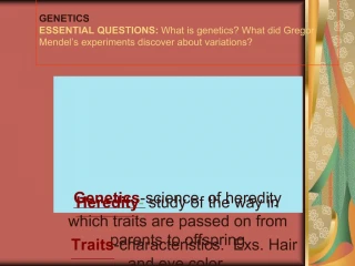 GENETICS ESSENTIAL QUESTIONS: What is genetics What did Gregor Mendel s experiments discover about variations - slide 1