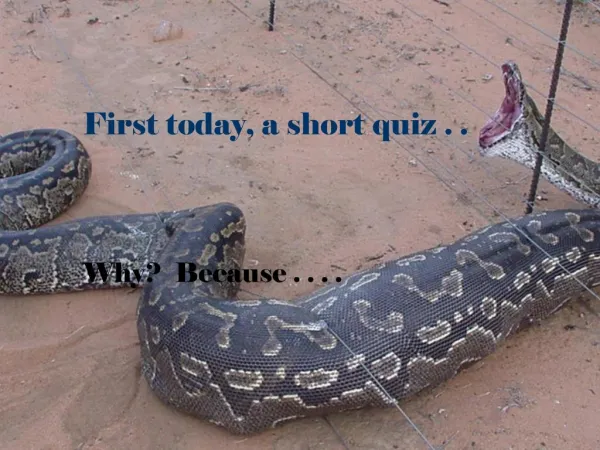 First today, a short quiz . .