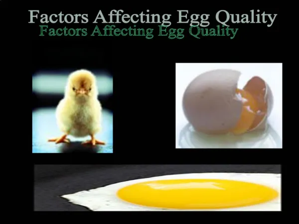 Factors Affecting Egg Quality