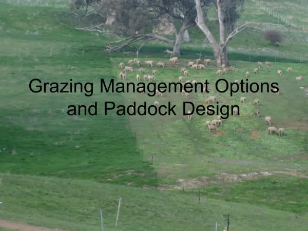 Grazing Management Options and Paddock Design