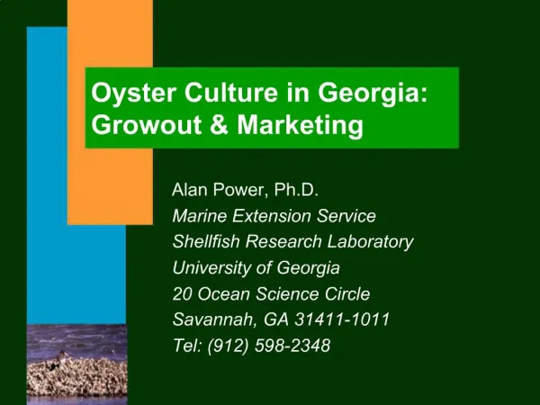 Oyster Culture in Georgia: Growout Marketing
