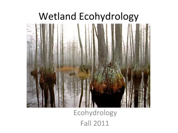 Wetland Ecohydrology