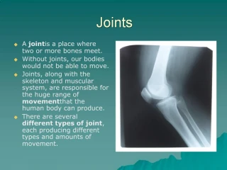 PPT - Joints PowerPoint Presentation, Free Download - ID:1589956