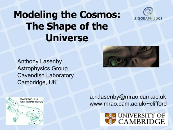 Modeling the Cosmos: The Shape of the Universe