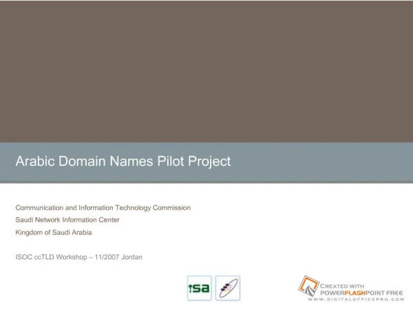 About Saudi NIC. Arabic Domain Names ADNPP Introduction ADN Pilot Project. ADN Plug-in Examples.