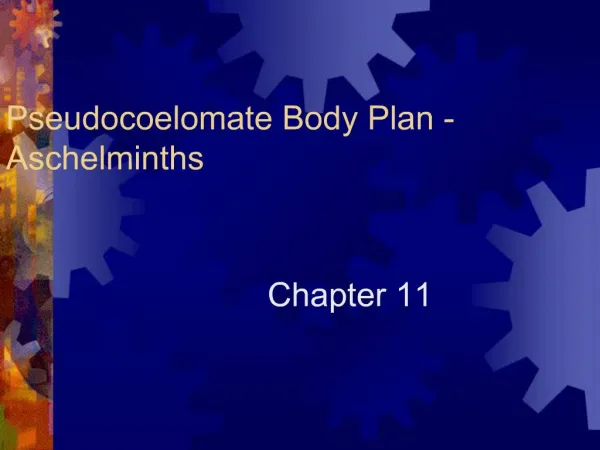 Pseudocoelomate Body Plan - Aschelminths