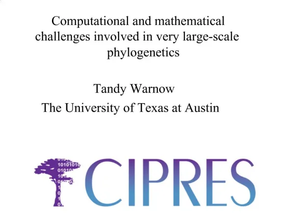 Computational and mathematical challenges involved in very large-scale phylogenetics