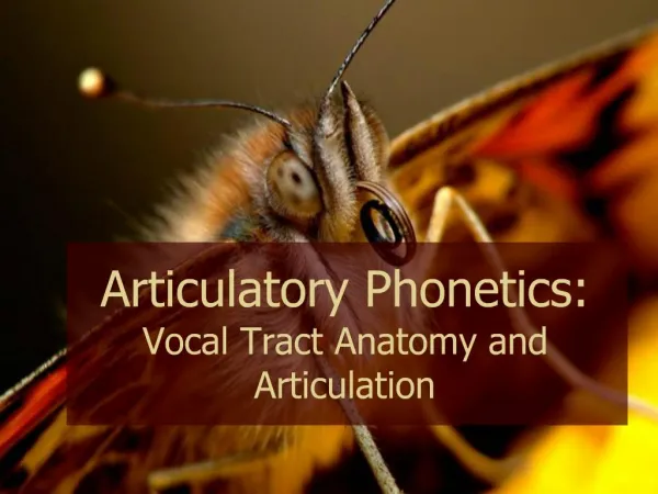 Articulatory Phonetics: Vocal Tract Anatomy and Articulation