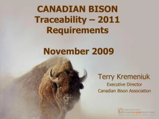 CANADIAN BISON - slide 1