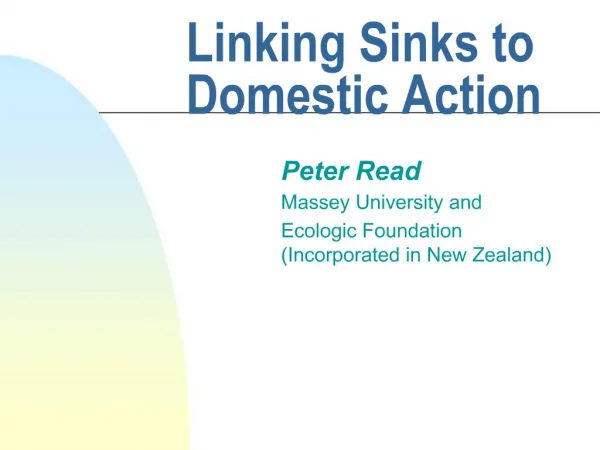 Linking Sinks to Domestic Action