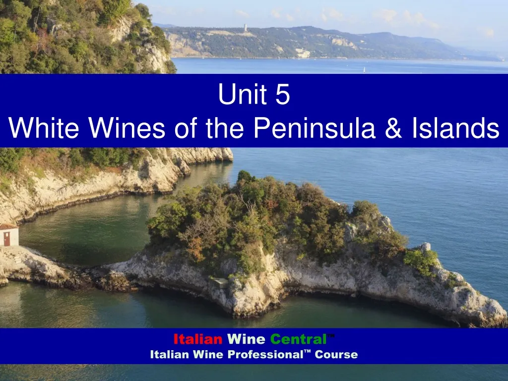 unit 5 white wines of the peninsula islands