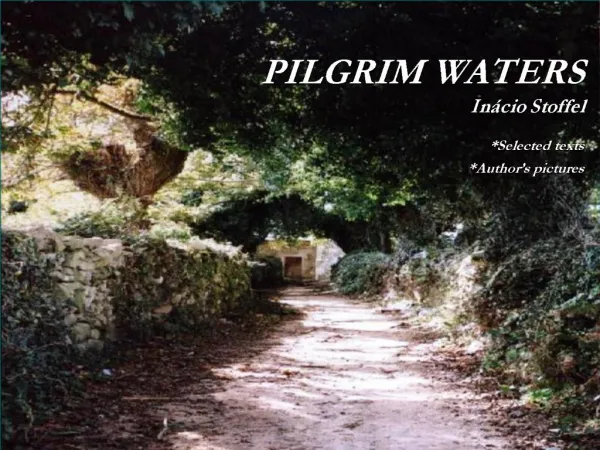 PILGRIM WATERS In cio Stoffel Selected texts Author s pictures