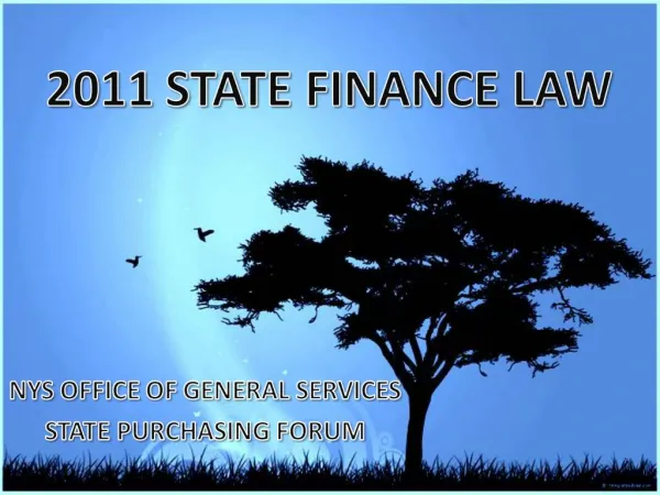 2011 STATE FINANCE LAW