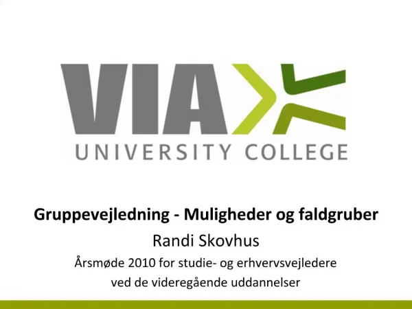 Gruppevejledning - Muligheder og faldgruber Randi Skovhus rsm de 2010 for studie- og erhvervsvejledere ved de videreg