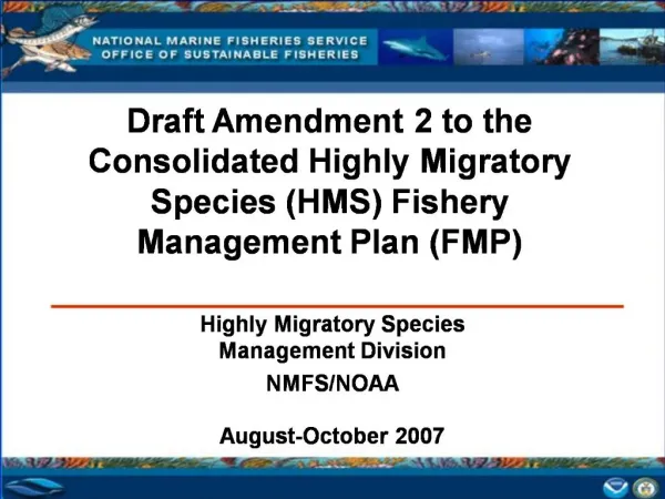 Draft Amendment 2 to the Consolidated Highly Migratory Species HMS Fishery Management Plan FMP
