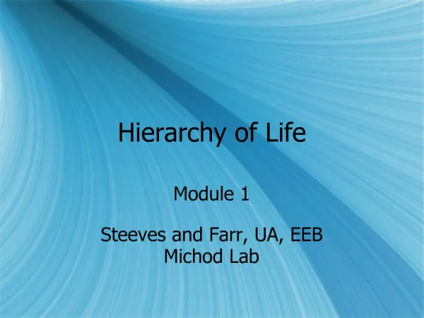 Hierarchy of Life