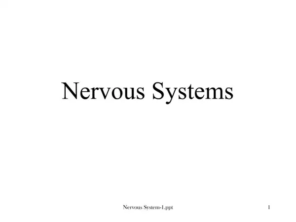 PPT - Nervous Systems PowerPoint Presentation, free download - ID:4546977