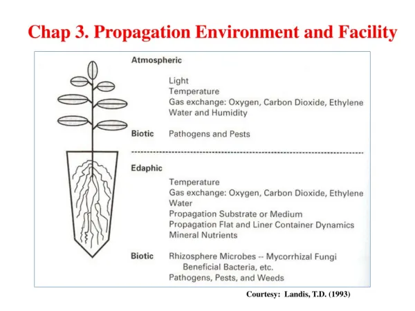 Chap 3. Propagation Environment and Facility
