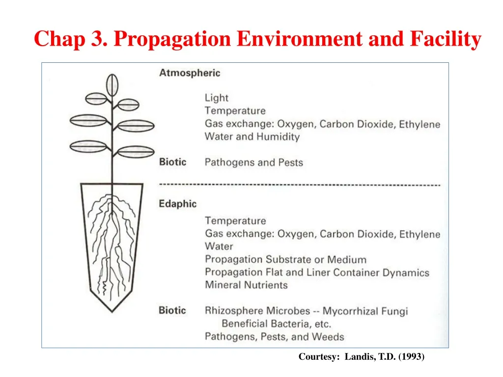 chap 3 propagation environment and facility