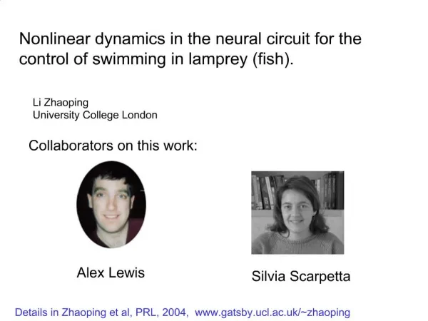 Nonlinear dynamics in the neural circuit for the control of swimming in lamprey fish.