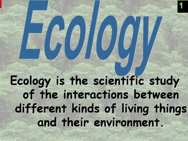 Ecology is the scientific study of the interactions between different kinds of living things and their environment.