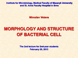 Miroslav Votava MORPHOLOGY AND STRUCTURE OF BACTERIAL CELL The 2nd l ecture for 2nd-year students - slide 1