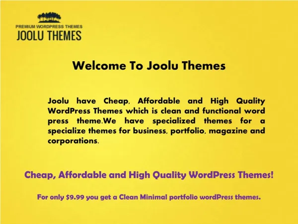 Professional Wordpress Themes