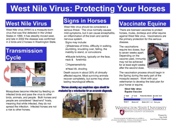 West Nile Virus: Protecting Your Horses