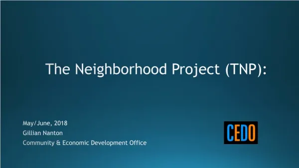 The Neighborhood Project (TNP):