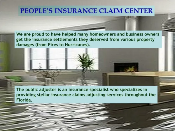 Insurance Claim Adjuster