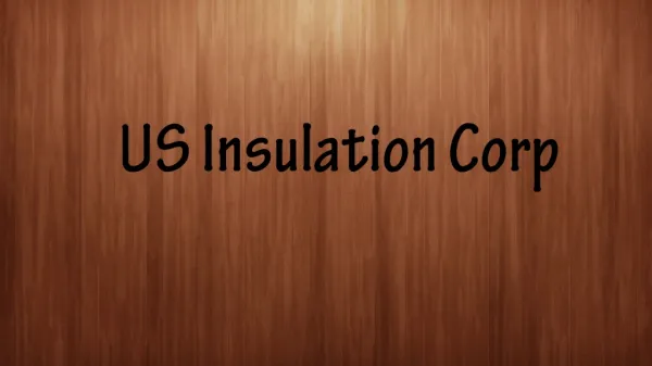 Us Insulation Corp Dt 