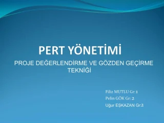 PERT Y NETIMI - slide 1