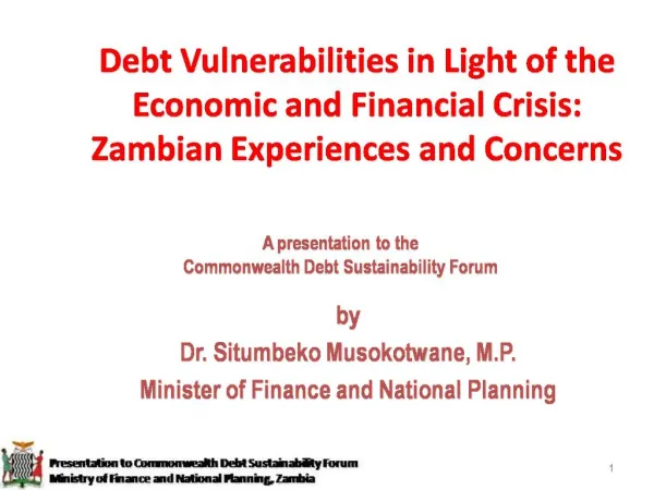 Debt Vulnerabilities in Light of the Economic and Financial Crisis: Zambian Experiences and Concerns