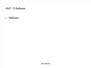 UNIT 12 Reflexes - slide 1