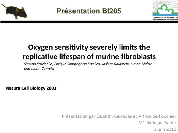 Oxygen sensitivity severely limits the replicative lifespan of murine fibroblasts