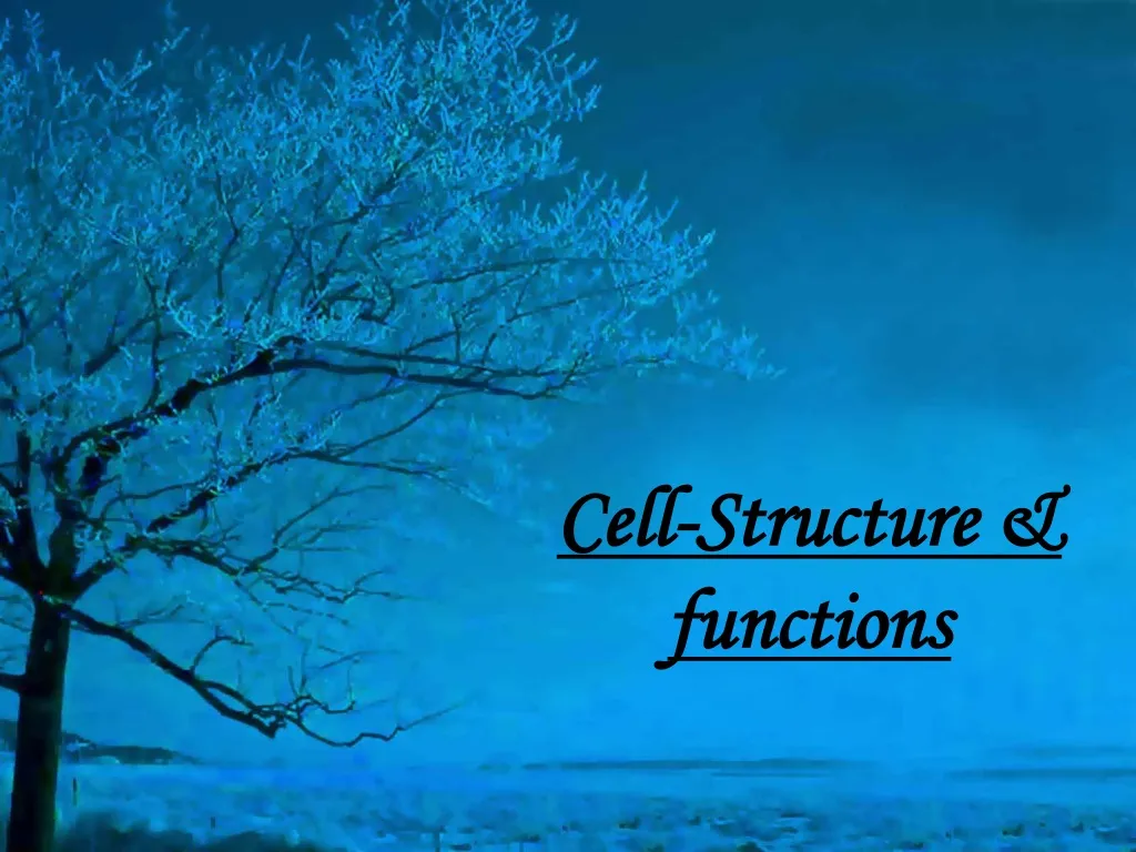 cell structure functions