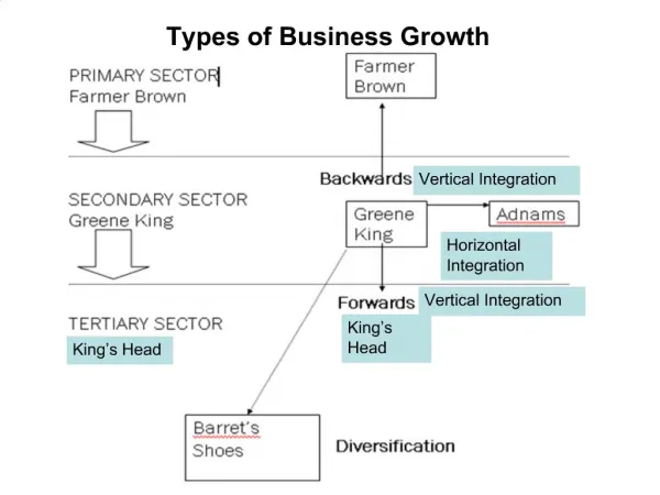Types of Business Growth