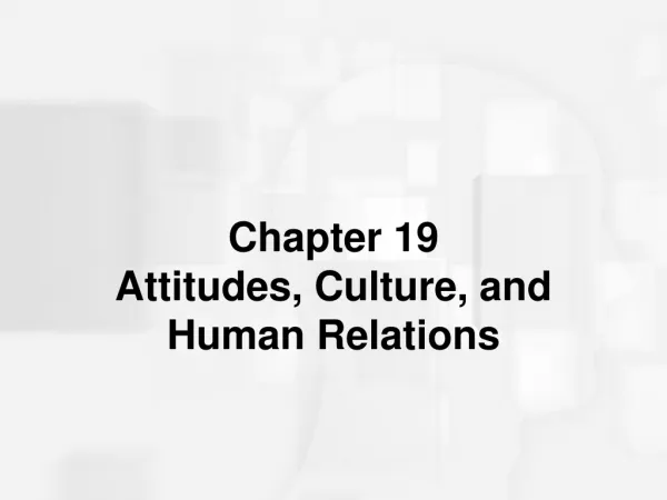Chapter 19 Attitudes, Culture, and Human Relations