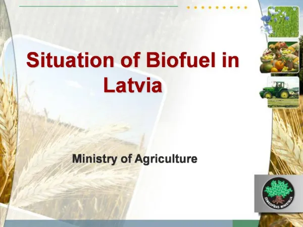 Situation of Biofuel in Latvia