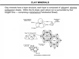 CLAY MINERALS