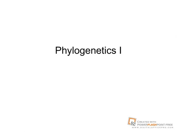Phylogenetics I