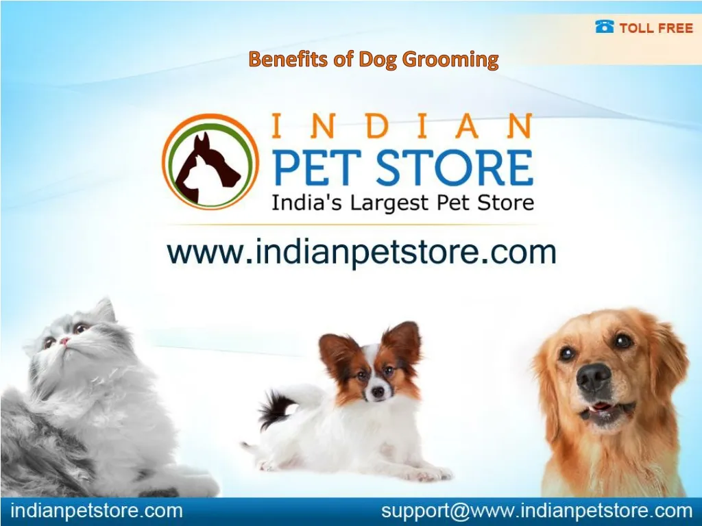 benefits of dog grooming