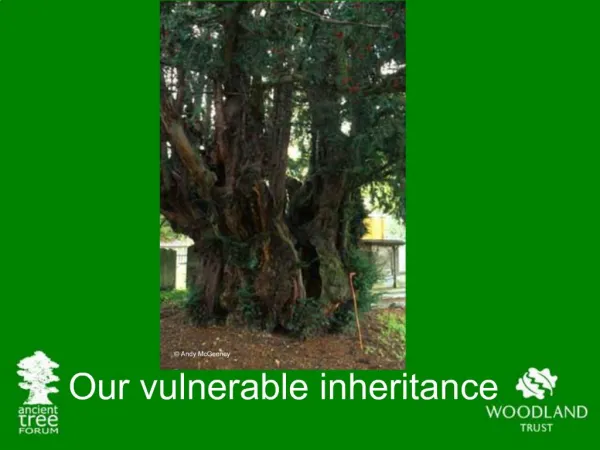 Our vulnerable inheritance