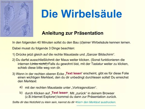 Die Wirbels ule