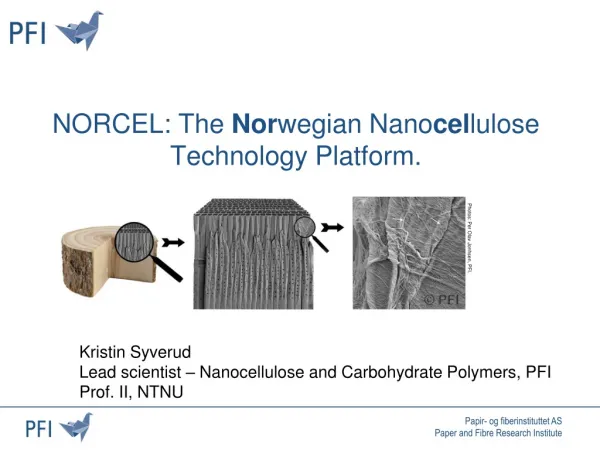 NORCEL: The Nor wegian Nano cel lulose Technology Platform.