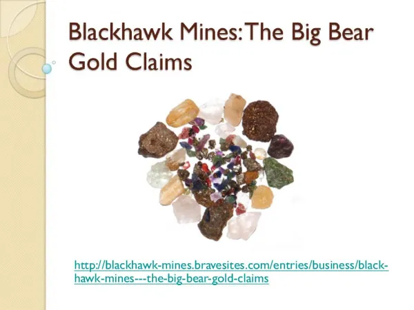 Black hawk Mines, The Big Bear Gold Claims