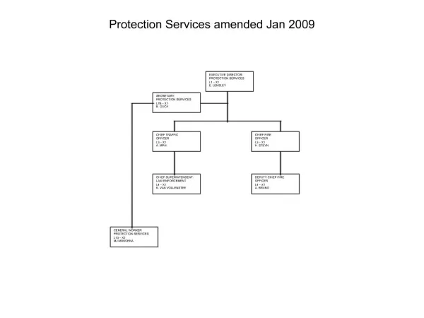 Protection Services amended Jan 2009