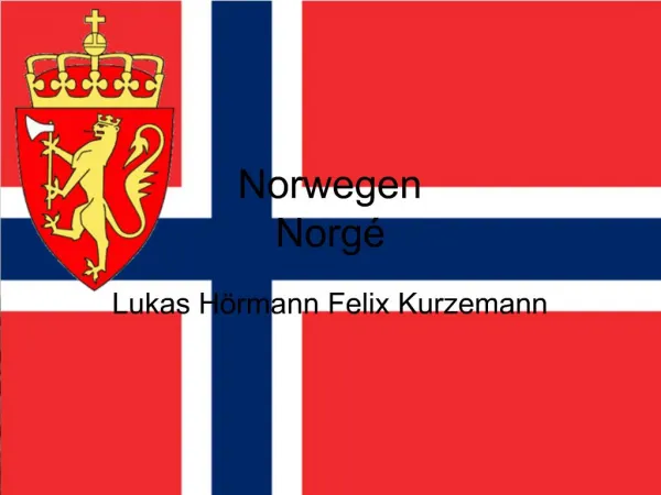 Norwegen Norg